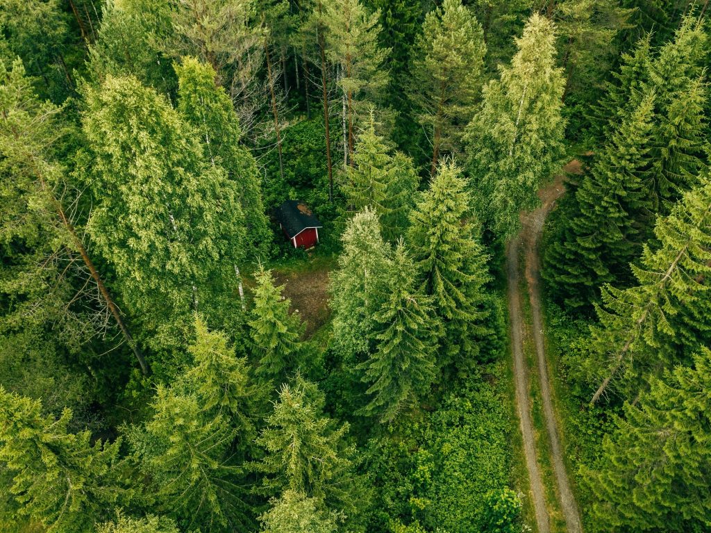 Aerial view of the road through the spruce forest. red cabin in the forest in Finland